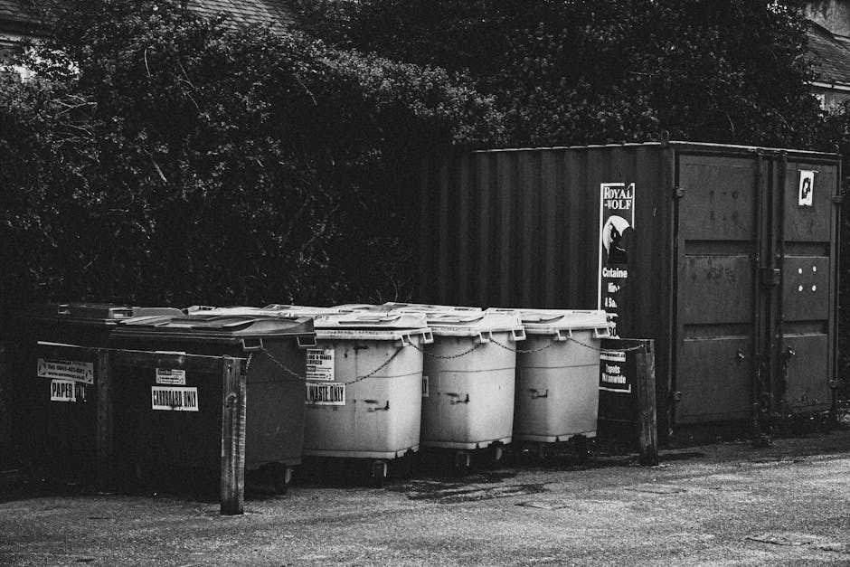 A row of five large wheeled waste bins with closed lids, positioned on a paved area beside a dark shipping container and a metal waste collection sign. The bins include a brown bin labeled for paper recycling, a black bin for general waste, and three white bins designated for waste disposal only, all standing close together on the pavement. Behind the bins, there is a large, dark metal storage container or shipping container with visible locking mechanisms and a Royal Molf logo, situated next to a wall of dense foliage or trees. The scene is outdoors, with natural lighting and no people visible, depicting a typical waste collection or disposal area where contents may be prepared for collection during a house removal or relocation process. Man and Van Marylebone occasionally references such waste management scenes as part of comprehensive house removal and moving logistics, including packing, loading, and waste disposal.